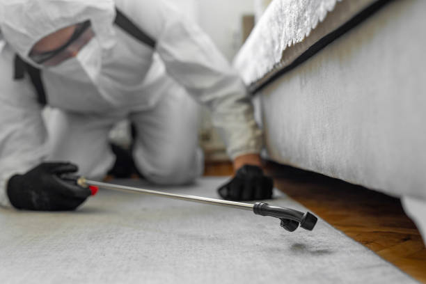 Professional Termite Control technician working in Apple Creek, OH