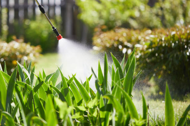 24/7 Emergency Termite Control experts in Apple Creek, OH